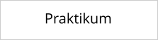 Praktikum